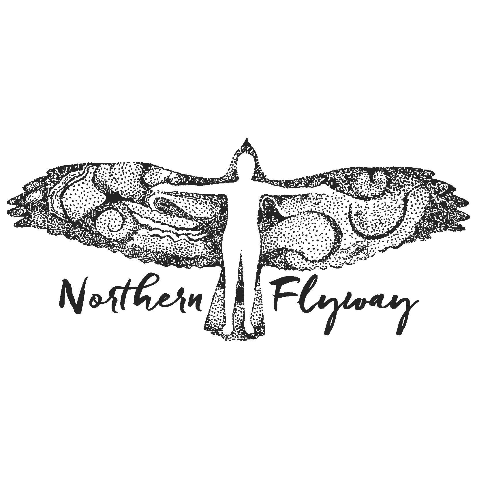 Northern Flyway: The Open Fund for Music Creators