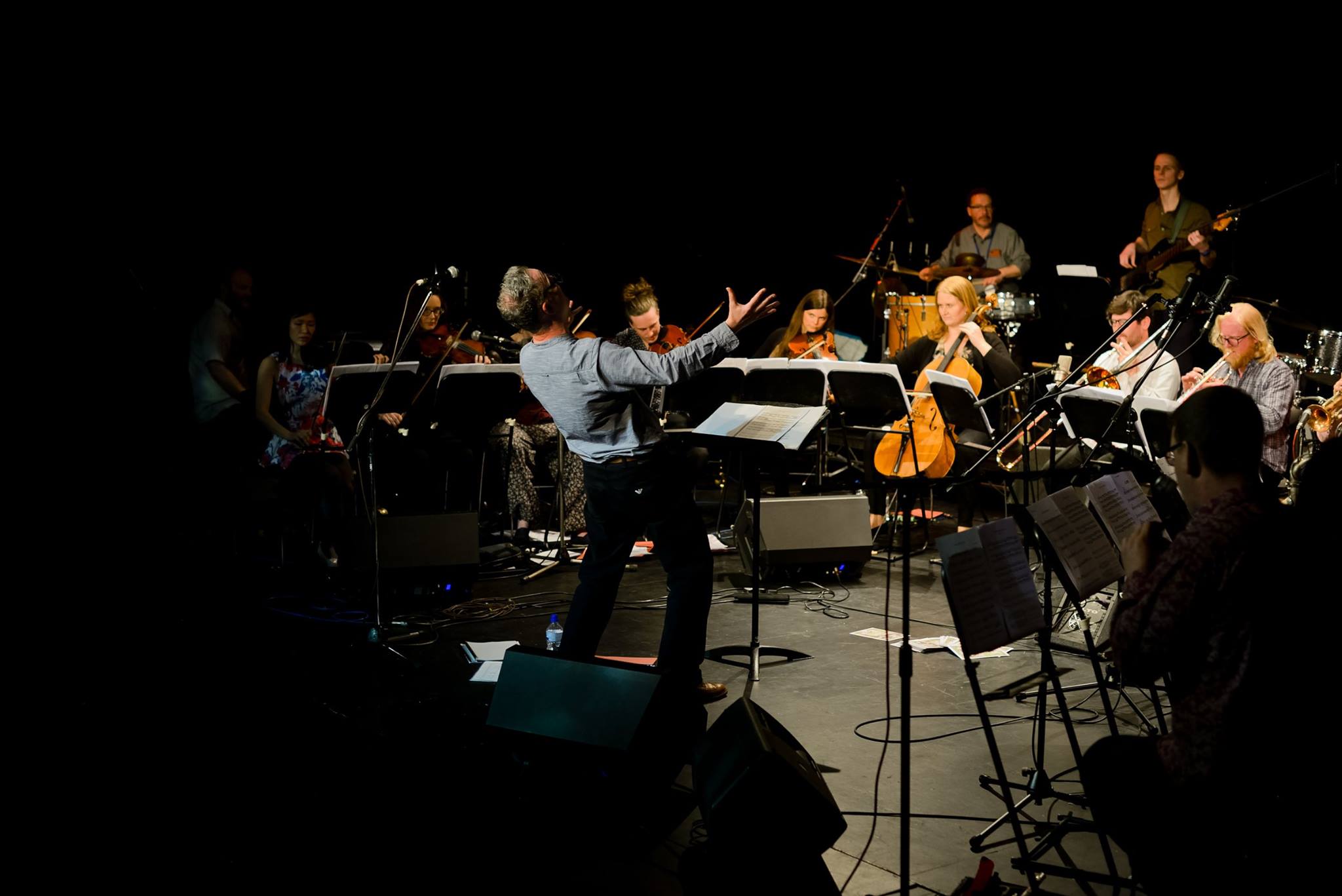 Surge Orchestra: The Open Fund for Organisations